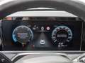 Volkswagen Passat Variant 2.0 TDI R-Line STANDHZ MEMORY Blau - thumbnail 17