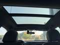 Cirelli SPORT COUPE' Blanc - thumbnail 14