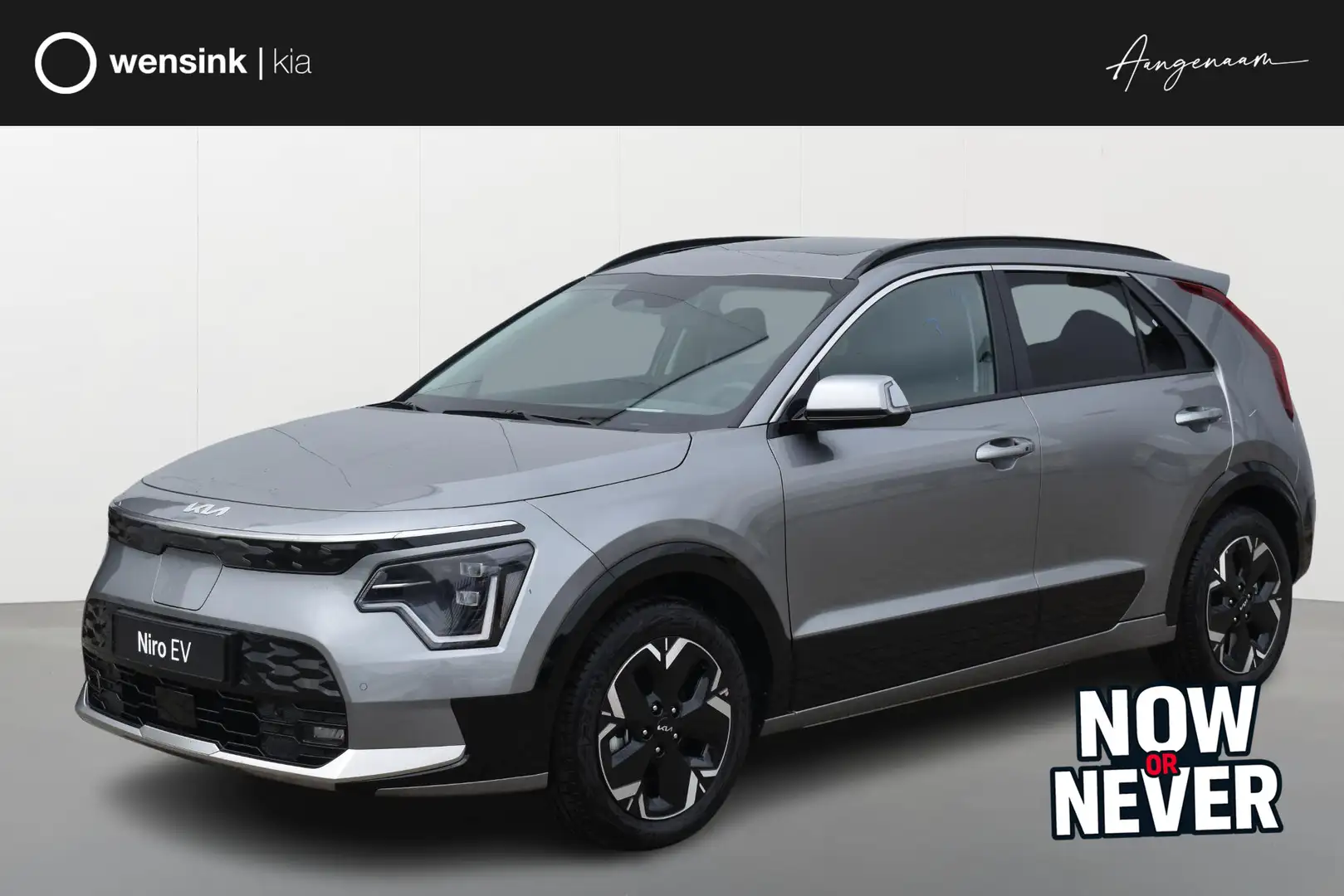 Kia e-Niro EV DynamicPlusLine 64.8 kWh Lease vanaf €639,01 p/ Grijs - 1
