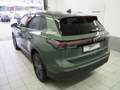 Volkswagen Tiguan Friends TDI 4MOTION DSG Grün - thumbnail 18