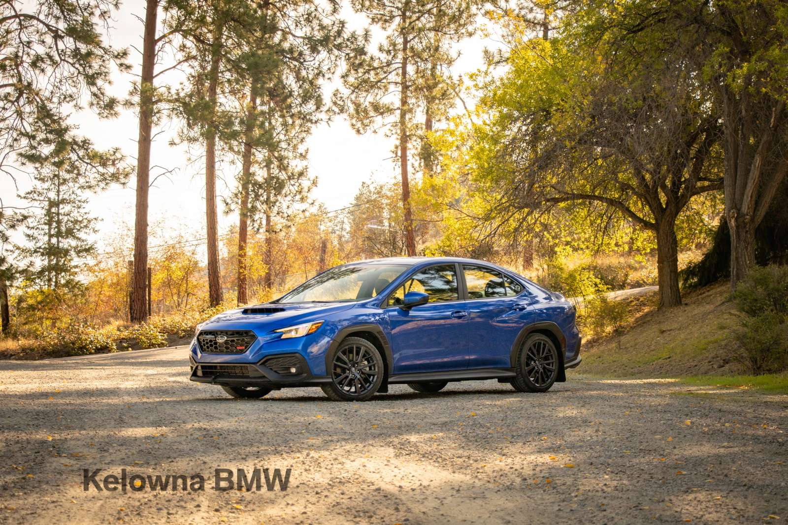2026 Subaru WRX Sport 6 Speed manual