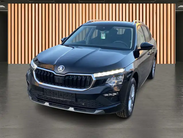 Skoda Kamiq view 2