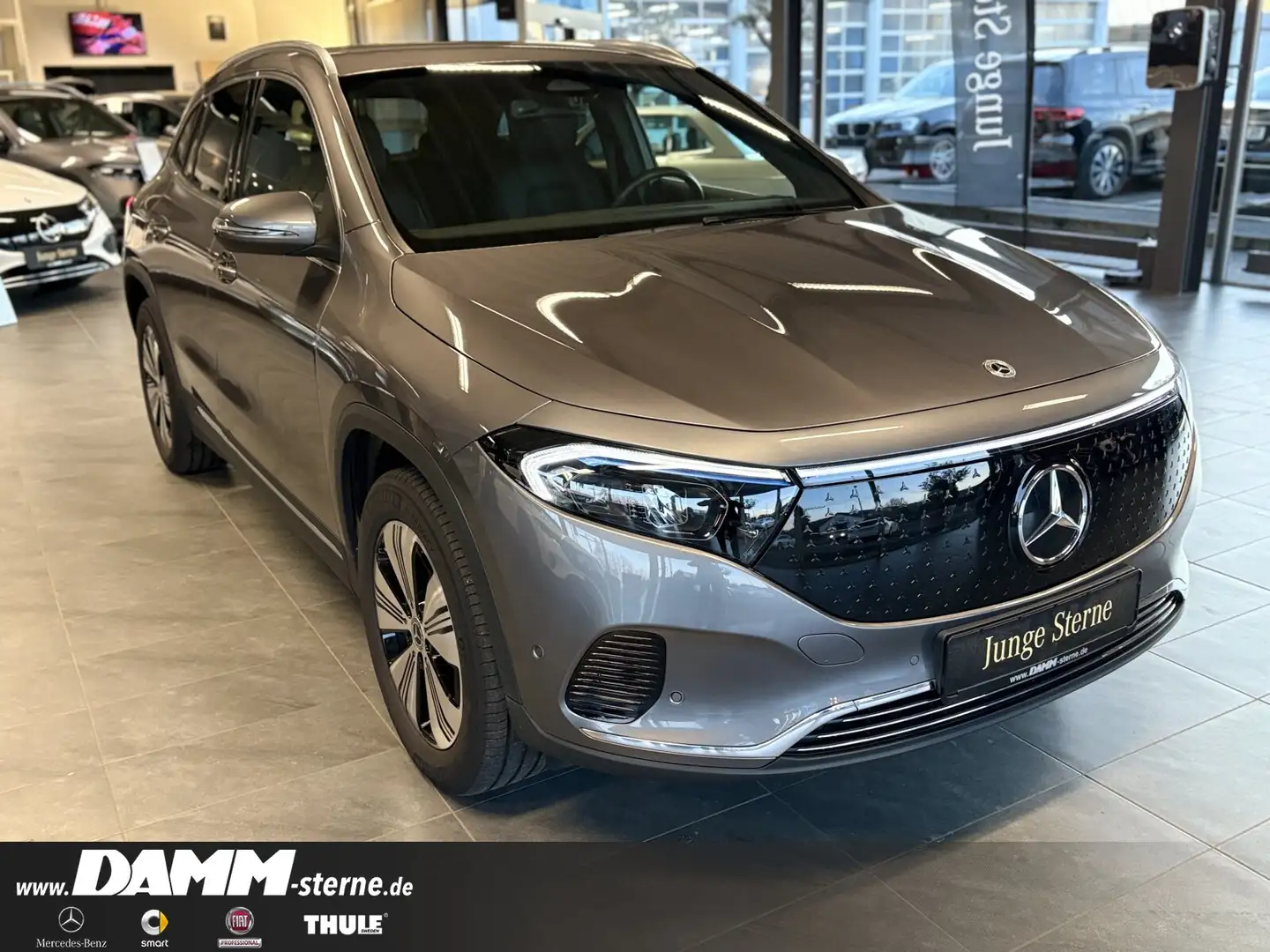Mercedes-Benz EQA 300 EQA 300 4M Progr. Adv./AHK/Winter-P./WDG/ + Flex Grau - 2