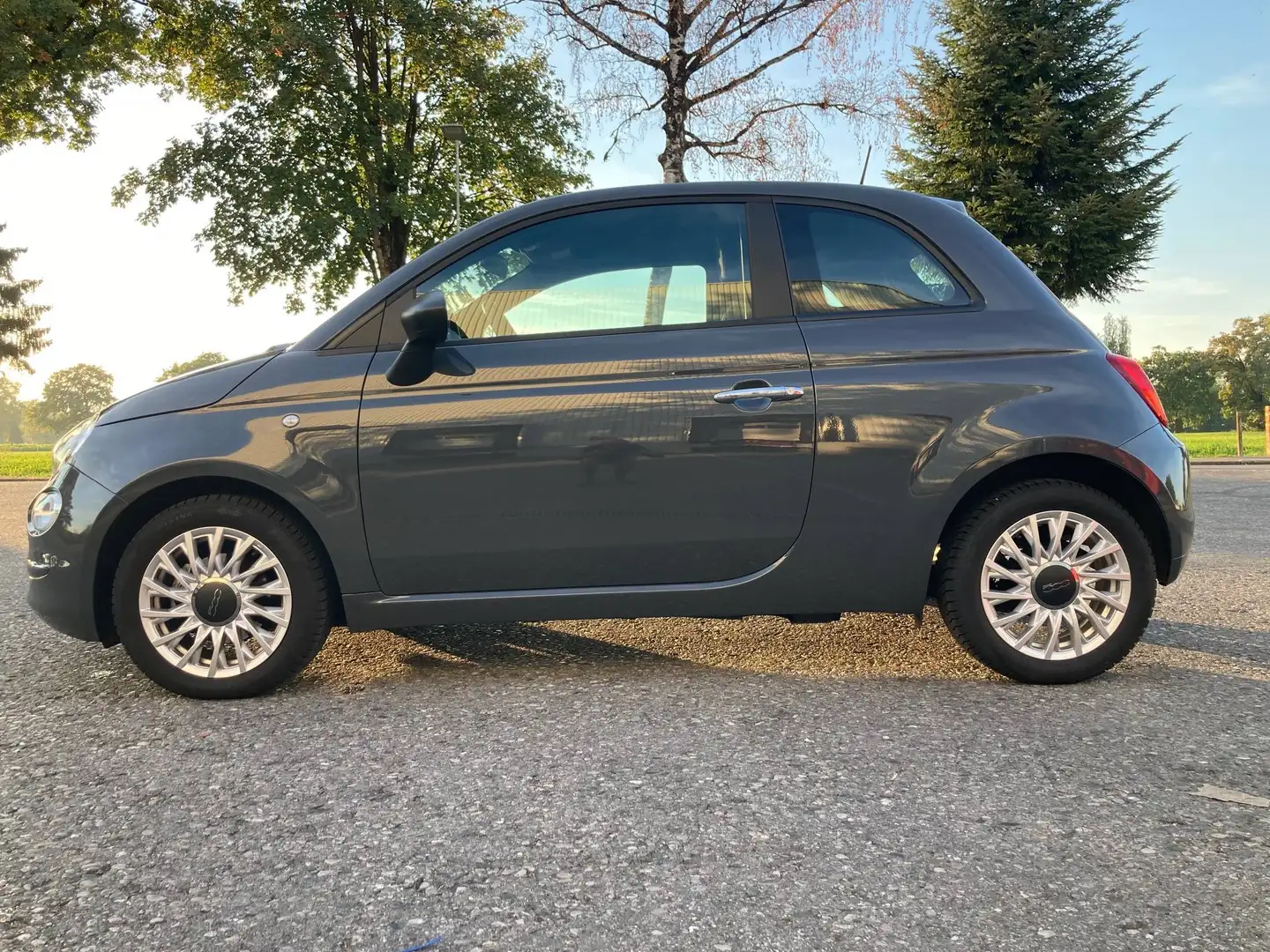 Fiat 500 500 FireFly Hybrid 70 Cult Cult Grau - 2