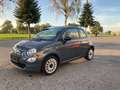 Fiat 500 500 FireFly Hybrid 70 Cult Cult Grau - thumbnail 1