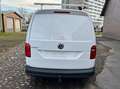 Volkswagen Caddy CADDY MAXI KASTEN NFZ AHK/TEMPOMAT/KLIMA Blanc - thumbnail 7
