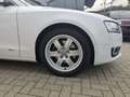 Audi A5 A5 2.0 TFSI 180 CV Ambition Blanco - thumbnail 21