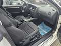 Audi A5 A5 2.0 TFSI 180 CV Ambition Blanco - thumbnail 13