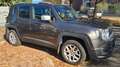 Jeep Renegade Renegade 2.0 4WD Active Drive Limited AUTOMATIC Gris - thumbnail 8