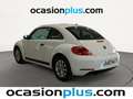Volkswagen Beetle 1.6TDI Beetlemanía 105 Weiß - thumbnail 3
