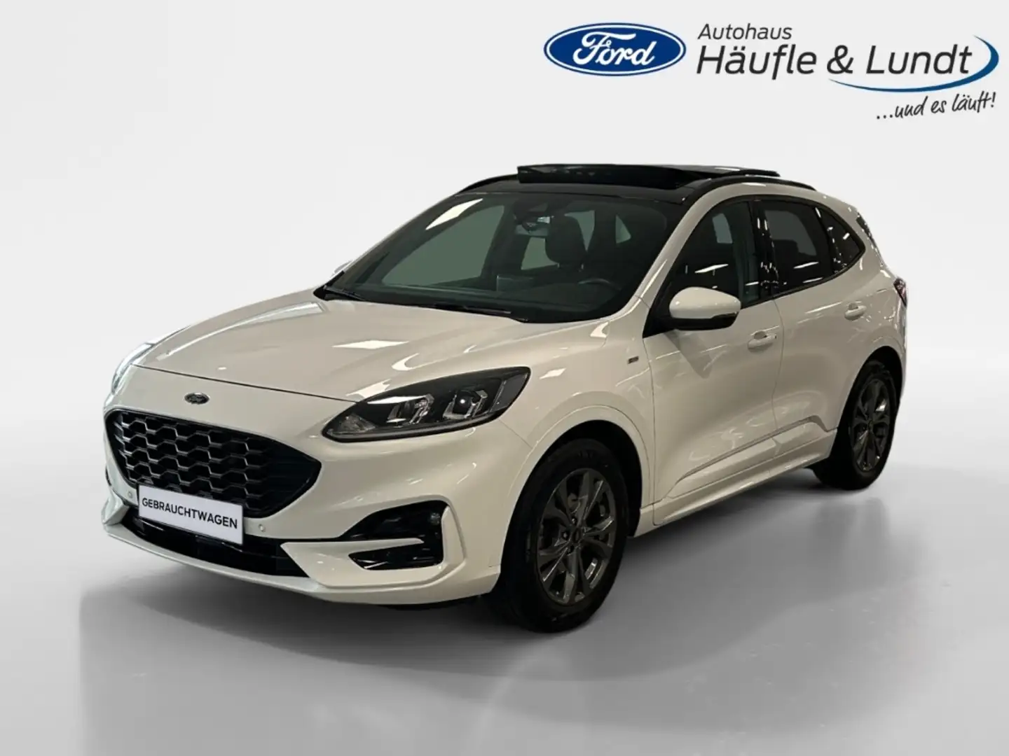 Ford Kuga ST-Line 1.5 EcoBlue EU6d El. Panodach Navi Digital Weiß - 1
