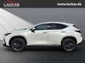 Lexus NX 350h h 243 PS ** 15Jahre Gara ntie ** Connect - Paket Biały - thumbnail 2