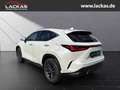 Lexus NX 350h h 243 PS ** 15Jahre Gara ntie ** Connect - Paket Biały - thumbnail 3
