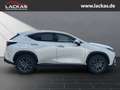 Lexus NX 350h h 243 PS ** 15Jahre Gara ntie ** Connect - Paket Biały - thumbnail 6