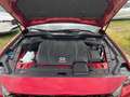 Mazda CX-60 3.3L e-SKYACTIV D 254ps 8AT AWD Homura Plus Червоний - thumbnail 14