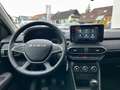 Dacia Sandero Stepway Expression TCe 90 +SHZ Grün - thumbnail 12