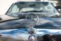 Mercedes-Benz 250 C Gri - thumbnail 12