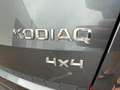 Skoda Kodiaq 2.0TDi 4x4 Keyless/7 seater/Carplay/Camera/zetelvw Gris - thumbnail 14