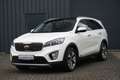 Kia Sorento Platinum Edit 4WD 1.Hd Pano ACC 360° AHK Blanc - thumbnail 3