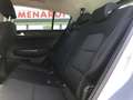 Kia Sportage 1.6 CRDI 115cv Business Class GARANZIA EUROPEA Argento - thumbnail 6
