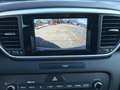 Kia Sportage 1.6 CRDI 115cv Business Class GARANZIA EUROPEA Argento - thumbnail 11