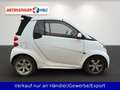 smart forTwo fortwo cabrio 1.0 Klima SHZ Faltdach Weiß - thumbnail 4