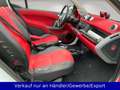 smart forTwo fortwo cabrio 1.0 Klima SHZ Faltdach Weiß - thumbnail 14