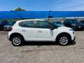 Citroen C3 BlueHDi 100 S&S Business Combi/n1 4POSTI+IVA Bianco - thumbnail 6