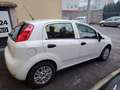Fiat Punto 1.2 8V 5 porte Street NEOPATENTATI Weiß - thumbnail 6
