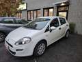 Fiat Punto 1.2 8V 5 porte Street NEOPATENTATI Weiß - thumbnail 5