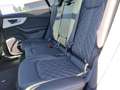 Audi SQ8 4.0 TFSI q. S-Tronic, HD Matrix LED, Pano, H Schwarz - thumbnail 12
