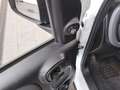 Fiat Panda 1.0 City Life Shz PDC Klima Weiß - thumbnail 9