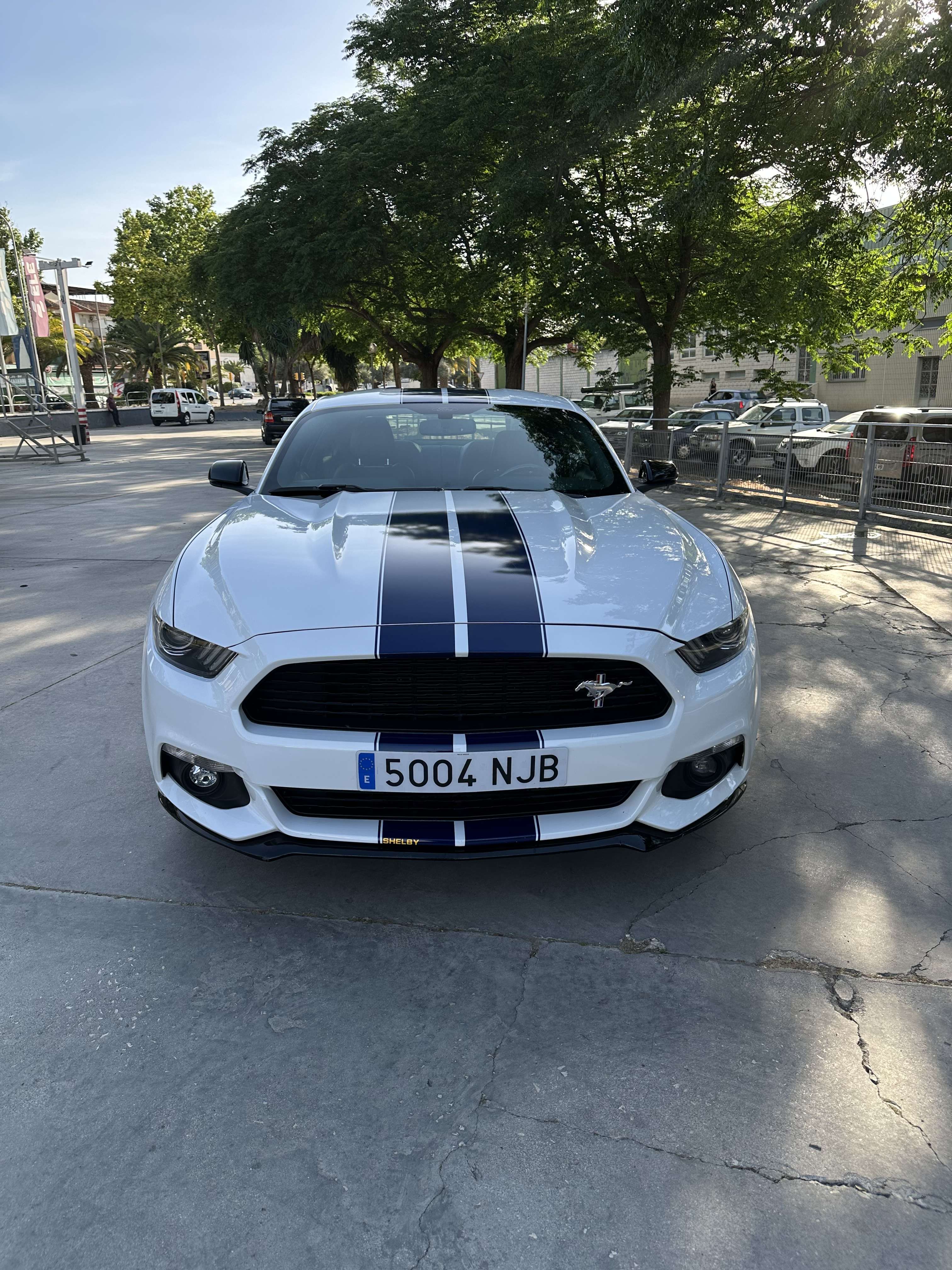 Ford Mustang Fastback 2.3 EcoBoost Aut. - foto 1