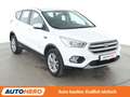 Ford Kuga 1.5 EcoBoost Titanium Aut.*NAVI*TEMPO*PDC* Blanc - thumbnail 8