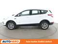 Ford Kuga 1.5 EcoBoost Titanium Aut.*NAVI*TEMPO*PDC* Blanc - thumbnail 3