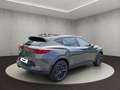 CUPRA Formentor 2.0 TSI VZ Tribe Edition Panorama Soun Grau - thumbnail 5
