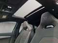 CUPRA Formentor 2.0 TSI VZ Tribe Edition Panorama Soun Grau - thumbnail 21