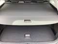 Ford Focus Titanium Turnier Aut. Kamera, Reling Blauw - thumbnail 20