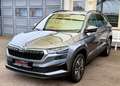 Skoda Karoq Tour Virtual | RKam | Panorama | LED | Shz Grau - thumbnail 6