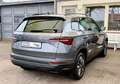 Skoda Karoq Tour Virtual | RKam | Panorama | LED | Shz Grau - thumbnail 10