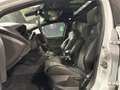 Ford Focus 2.3 350 CV AWD RS - TETTO - TAGLIANDI - WHITE EDIT Weiß - thumbnail 7