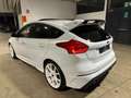 Ford Focus 2.3 350 CV AWD RS - TETTO - TAGLIANDI - WHITE EDIT Weiß - thumbnail 4