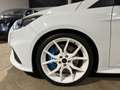 Ford Focus 2.3 350 CV AWD RS - TETTO - TAGLIANDI - WHITE EDIT Weiß - thumbnail 14