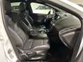 Ford Focus 2.3 350 CV AWD RS - TETTO - TAGLIANDI - WHITE EDIT Weiß - thumbnail 16