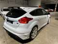 Ford Focus 2.3 350 CV AWD RS - TETTO - TAGLIANDI - WHITE EDIT Weiß - thumbnail 6