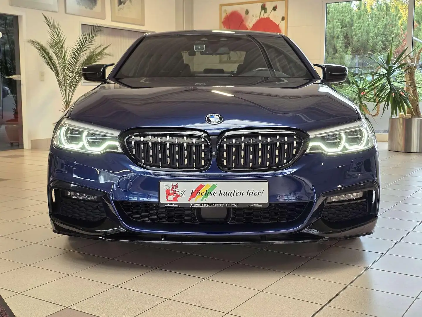 BMW 530 530i xDrive M Sport/Shadow/StandHz/Virtual/360° Bleu - 2
