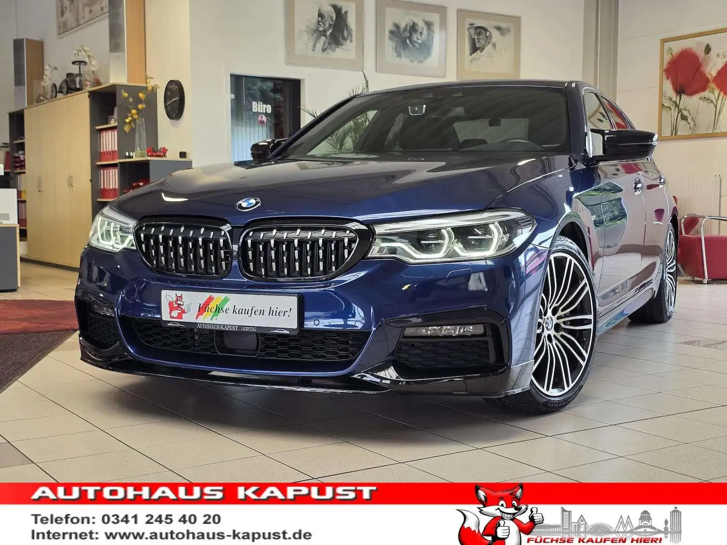 BMW 530 530i xDrive M Sport/Shadow/StandHz/Virtual/360° Bleu - 1