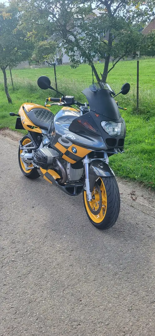 BMW R 1100 S Boxercup Replika Van Harten Żółty - 2