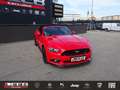 Ford Mustang 5,0 Ti-VCT V8 GT Cabrio Aut. Rot - thumbnail 1