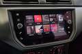 SEAT Ibiza 1.6 TDI 80 CV Business Alb - thumbnail 21